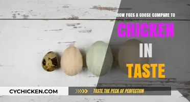 Goose vs. Chicken: Taste and Texture Compared