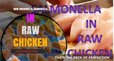 Salmonella Risks in Raw Chicken: How Common Is It?