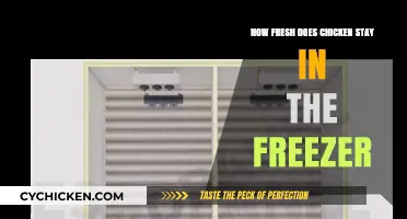How Long Does Chicken Stay Fresh in the Freezer?