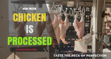 From Farm to Freezer: The Journey of Processed Chicken