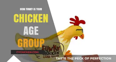 Funky Chicken Age Groups: Unlocking Your Flock's Unique Groove