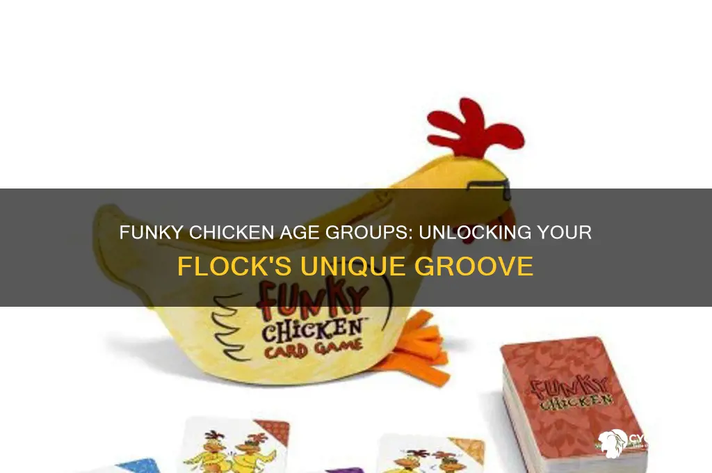 how funky is your chicken age group