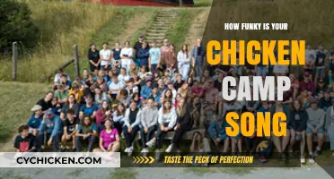 How Funky is Your Chicken Camp Song: A Musical Adventure