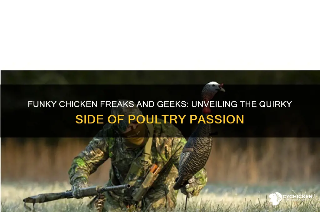 how funky is your chicken freaks and geeks