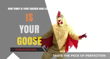 Funky Chicken, Loose Goose: A Guide to Grooving