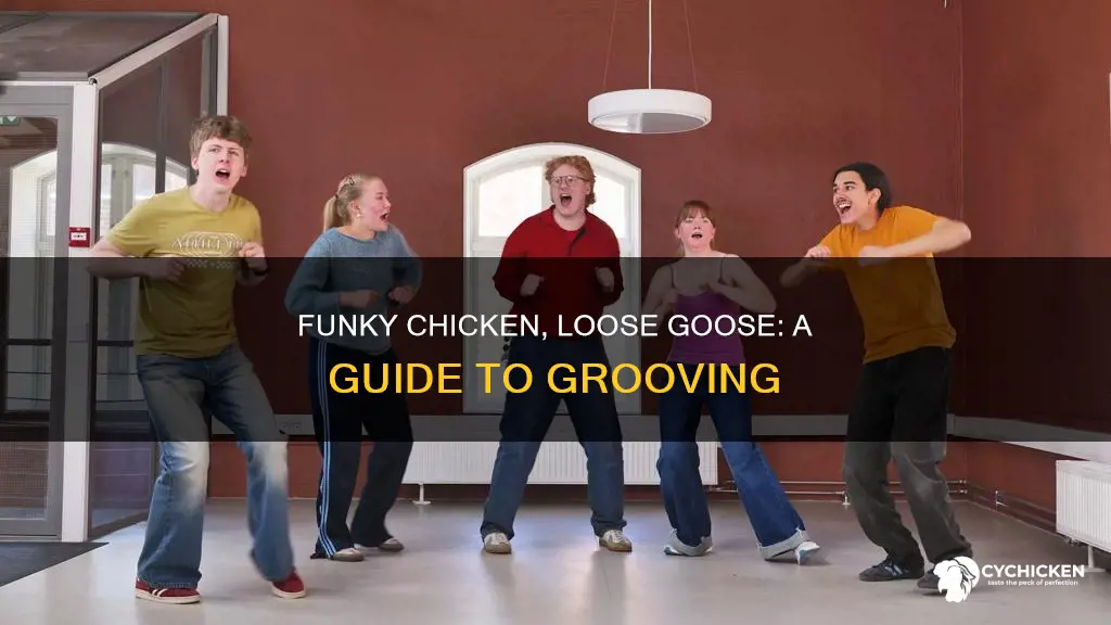 how funky is your chicken how loose is your goose