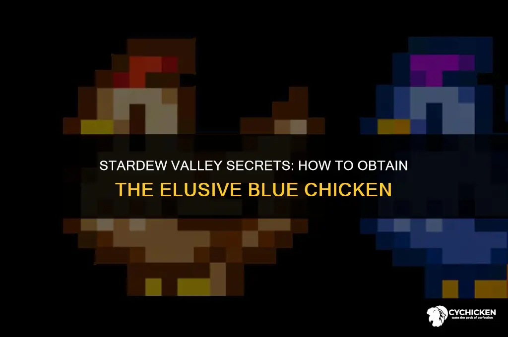 how get blue chicken in stardewvalle