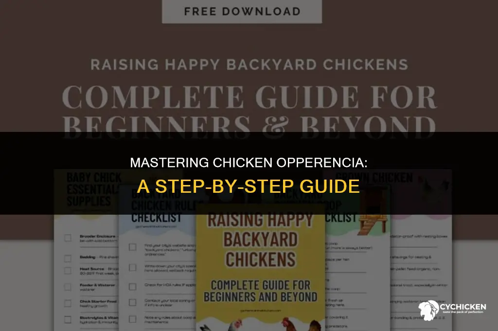 how get chicken operencia