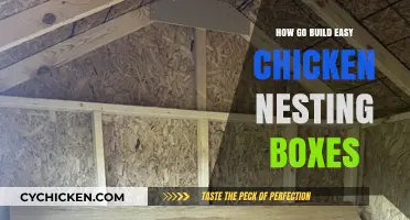 Simple DIY Chicken Nesting Boxes: Easy-to-Build Designs for Happy Hens
