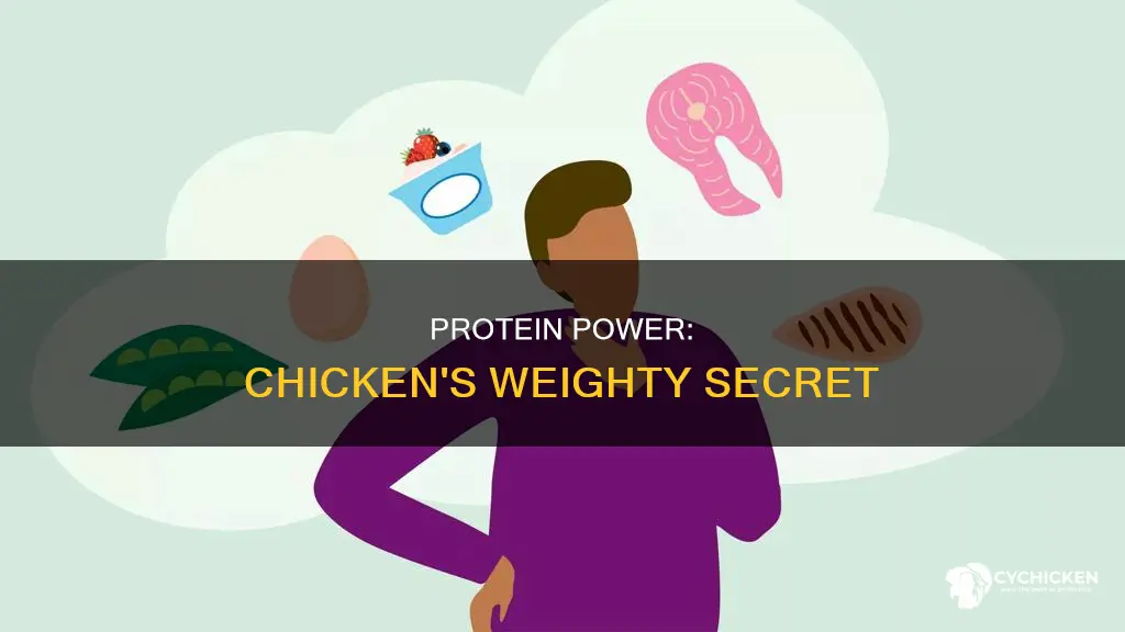 how grams of protein in one 1 kg chicken