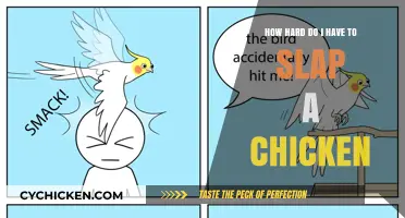 Slapping Chickens: How Much Force is Too Much?
