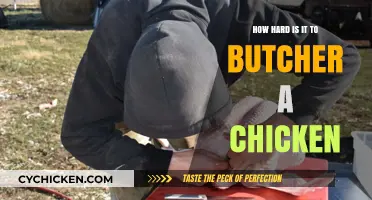 Butchering Chickens: A Beginner's Guide to the Challenges and Process