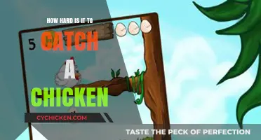 Catching Chickens: Unraveling the Surprising Challenge of a Simple Task