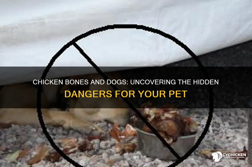 how harmful are chicken bones for dogs