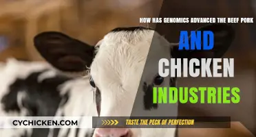 Genomics Revolutionizing Meat Production: Advancements in Beef, Pork, and Chicken