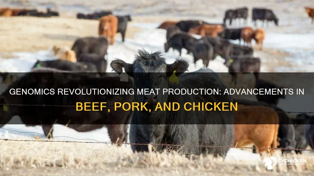how has genomics advanced the beef pork and chicken industries
