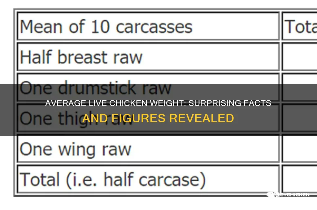 how heavy is the average live chicken