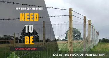 Optimal Chicken Fence Height: Protecting Your Flock from Predators