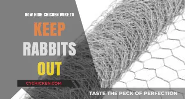 Effective Chicken Wire Height to Deter Rabbits from Your Garden