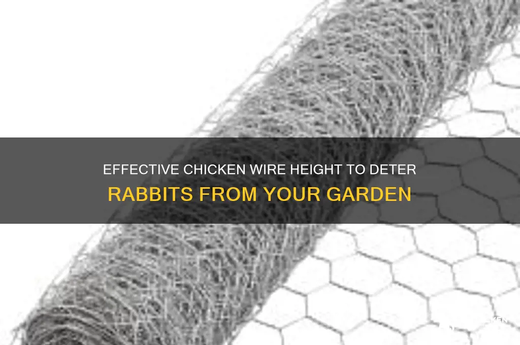 how high chicken wire to keep rabbits out