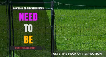 Optimal Chicken Fence Height: Protecting Your Flock from Predators and Escape