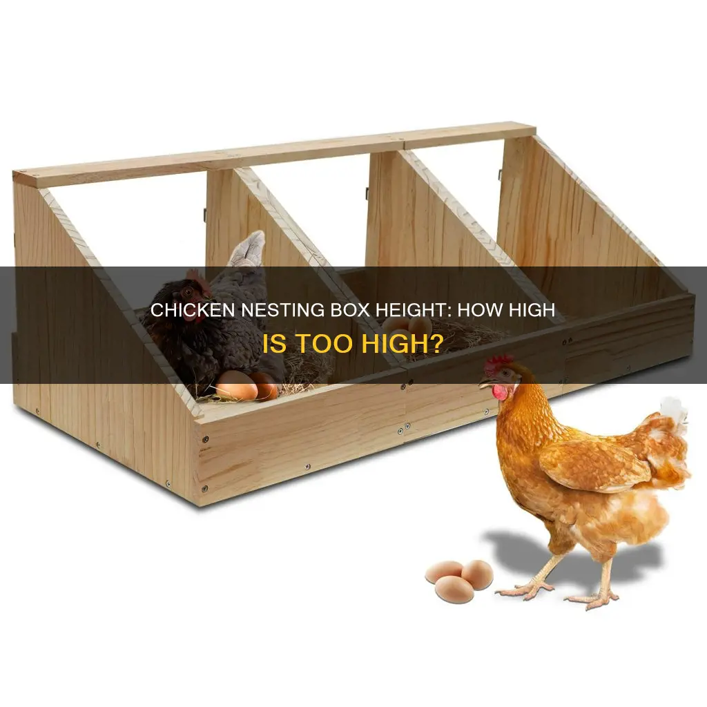 how high do chicken nesting boxes need to be