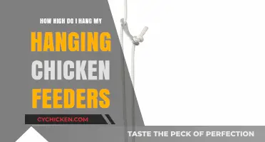 Chicken Feeder Height: Optimal Hanging Tips