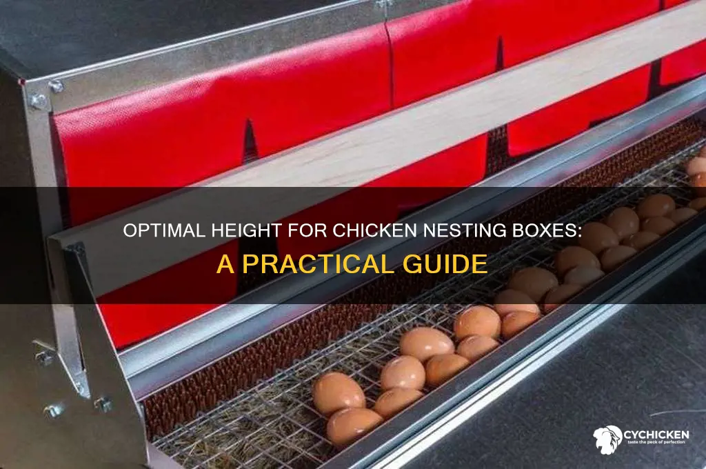 how high do you mount chicken nesting boxes