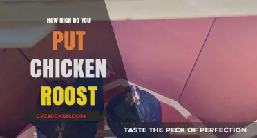 Optimal Chicken Roost Height: Tips for Happy, Healthy Flocks