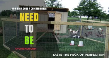 Chicken Fence Height: How High for Happy Hens?
