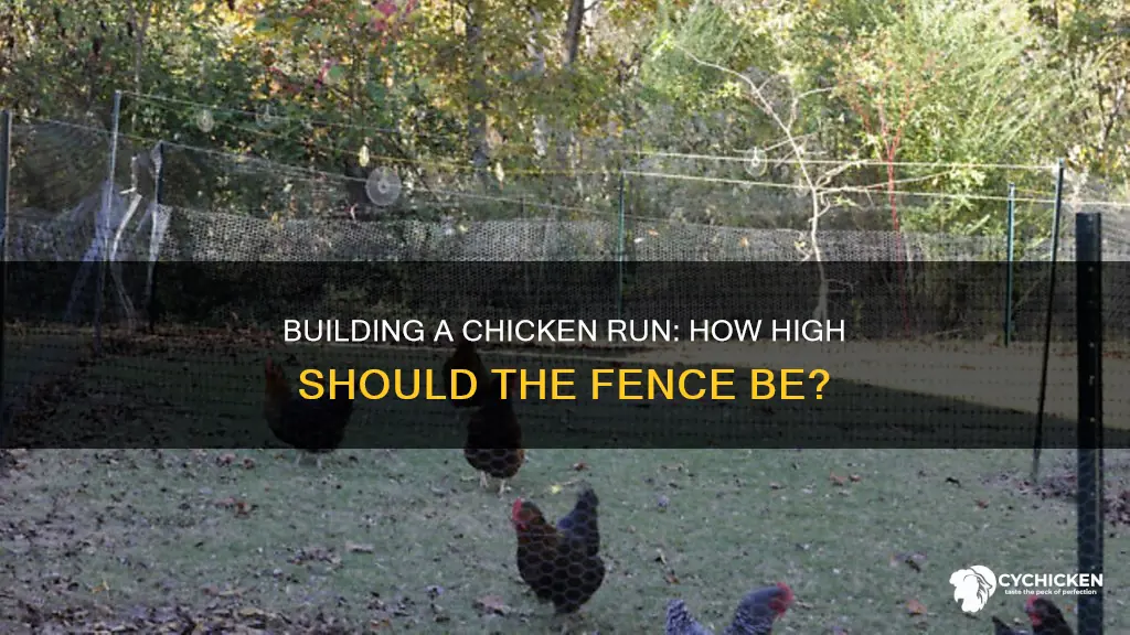 how high does a chicken run fence need to be