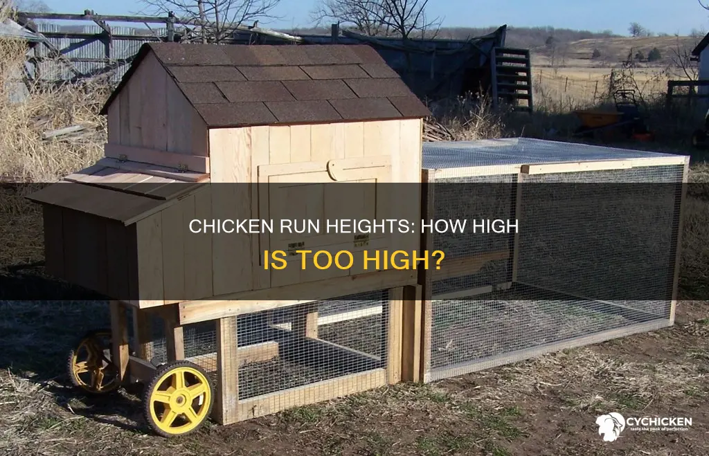 how high does a chicken run need to be