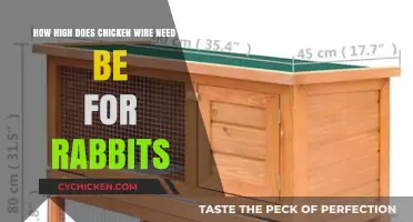 Chicken Wire Height for Rabbits: How High is High Enough?
