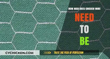 Optimal Chicken Wire Height: Protecting Your Flock from Predators Safely