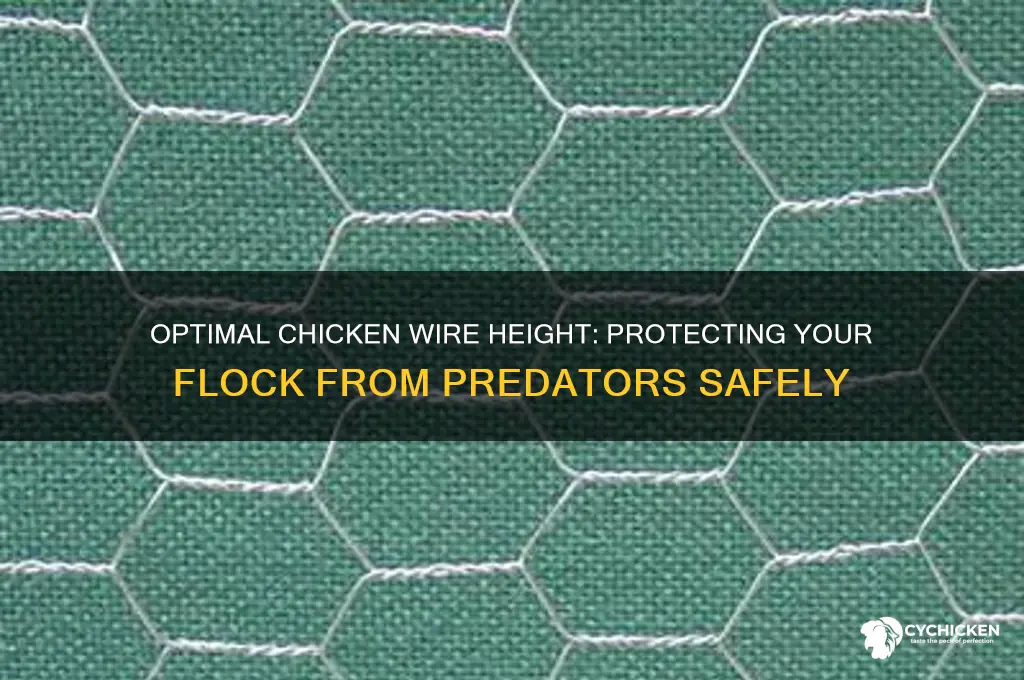 how high does chicken wire need to be
