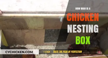 Ideal Chicken Nesting Box Height: A Guide for Happy Hens