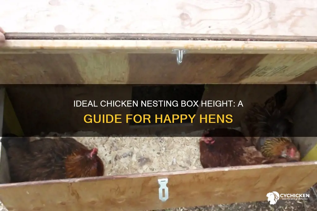 how high is a chicken nesting box