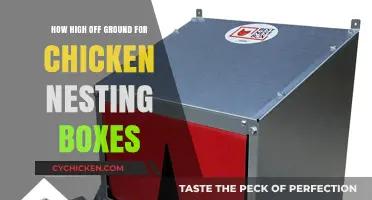 Optimal Height for Chicken Nesting Boxes: A Practical Guide
