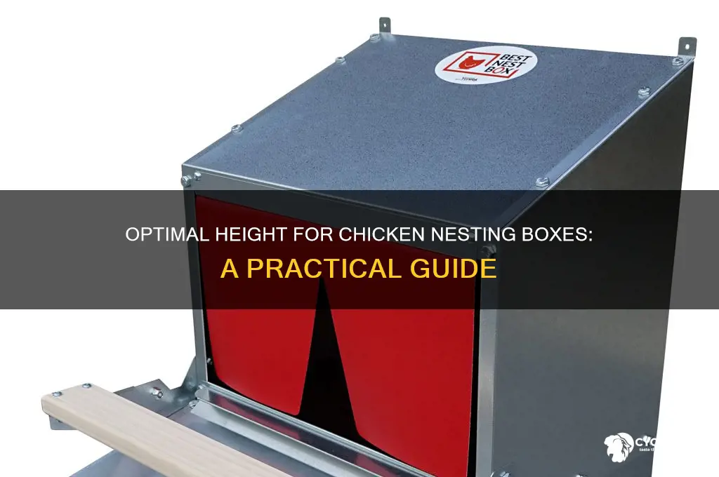 how high off ground for chicken nesting boxes