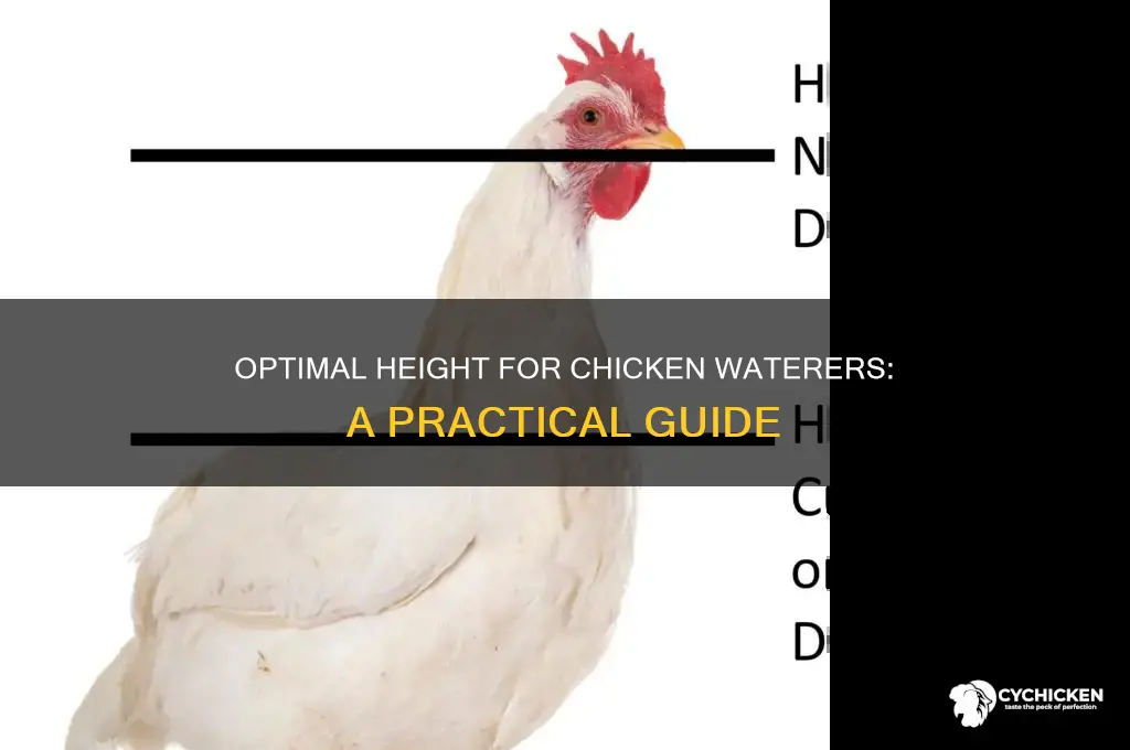 how high off ground should chicken waterer be