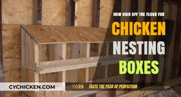 Chicken Nesting Boxes: How High Off the Floor?