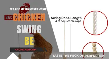 The Perfect Height for a Chicken Swing