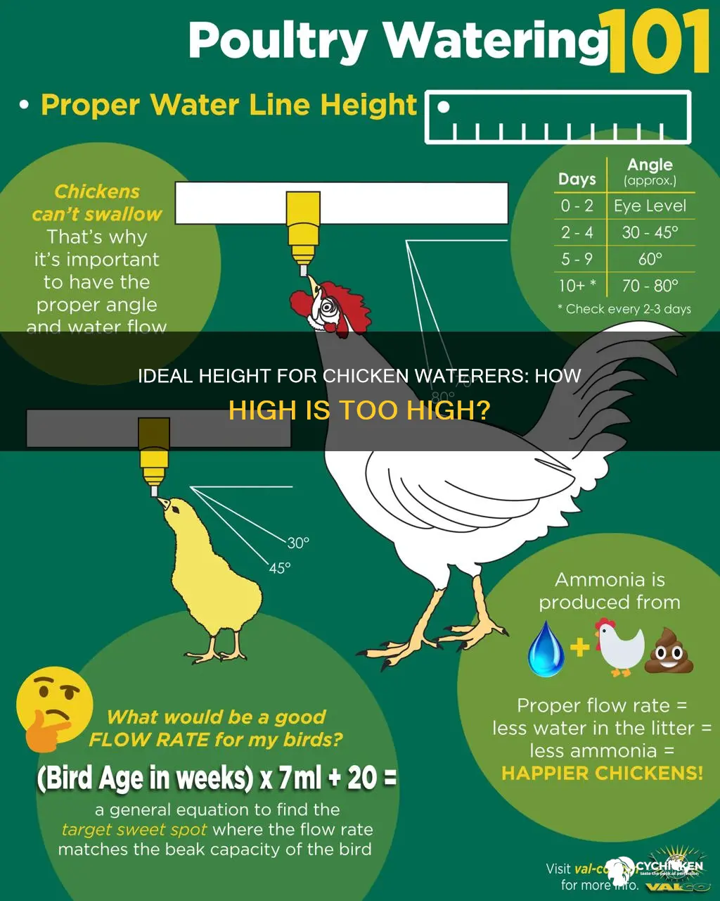 how high off the ground should a chicken waterer be