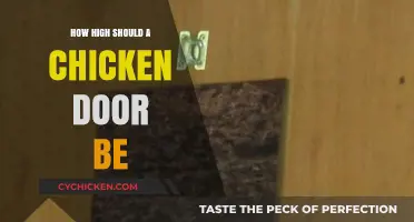Ideal Chicken Coop Door Height: Tips for Easy Access and Safety