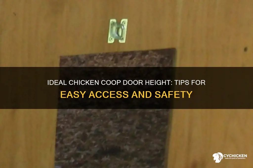 how high should a chicken door be
