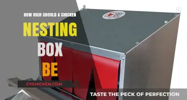 Optimal Height for Chicken Nesting Boxes: A Practical Guide