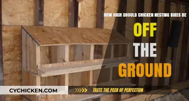 The Perfect Height for Chicken Nesting Boxes