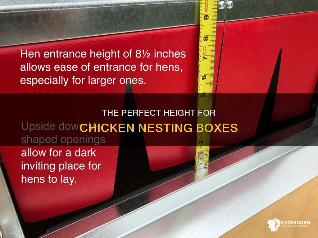 how high should chicken nesting bixes be off the ground