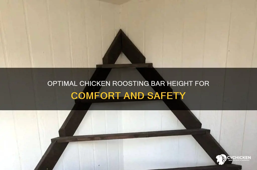 how high should chicken roosting bars be