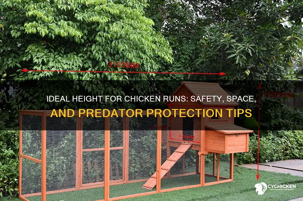 how high should i build my chicken run